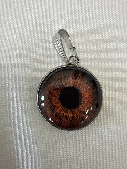Mohanji’s right Iris - Medium